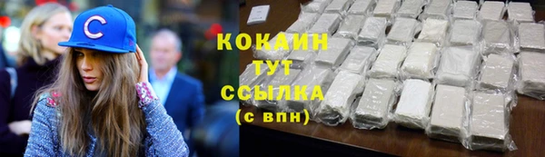 тгк Абаза