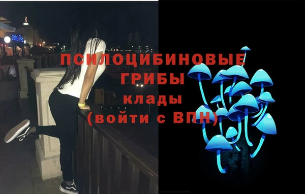 тгк Абаза