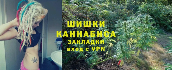 тгк Абаза