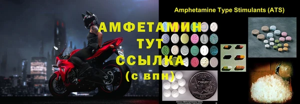 тгк Абаза