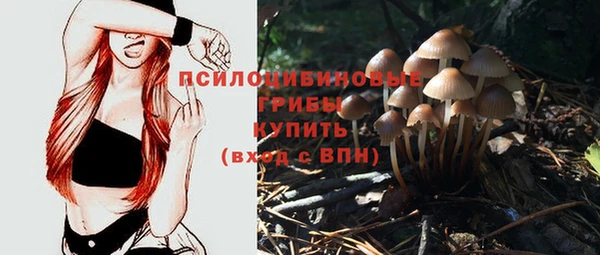 спайс Абинск