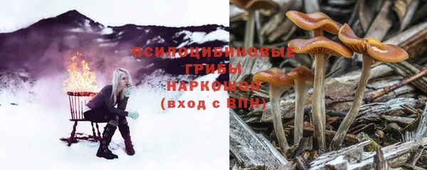 тгк Абаза